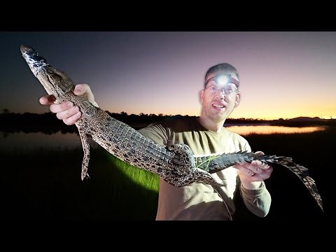 The @OutdoorBoys Get A Crash Course On Surviving Australia