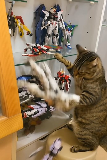 360K views · 644 reactions | Giờ xử nó sao đây anh em cho ý kiến cái !!!! | C3 Gundam VN Build Store | Facebook