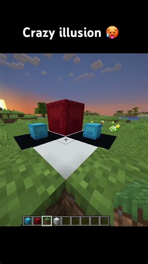 Crazy illusion in Minecraft #minecraft #illusion #ytshorts #shots