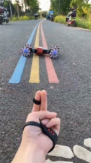 Adults Kids Both Want This Turtle Toy! So Cute