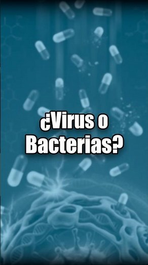 The big difference between viruses and bacteria you need to know ⚔️