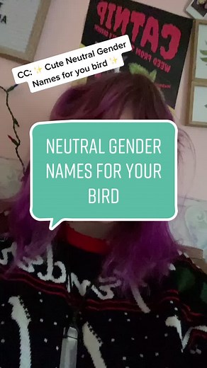 Creative Gender-Neutral Bird Names for Your Feathered Friends