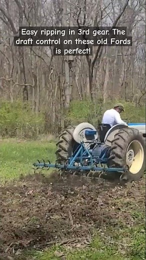Ford 4000 homemade S tine cultivator. Food plot prep