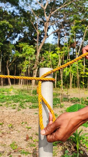 Wonderful constrictor knot in the right technique at every moment