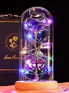 Beferr Christmas Rose Gifts for Women Mom Birthday Gifts, Galaxy Glass Rose Forever Preserved Flowers for Delivery Prime Light Up Rose in Glass Dome with Butterfly Xmas Gifts for Grandma Her Wife