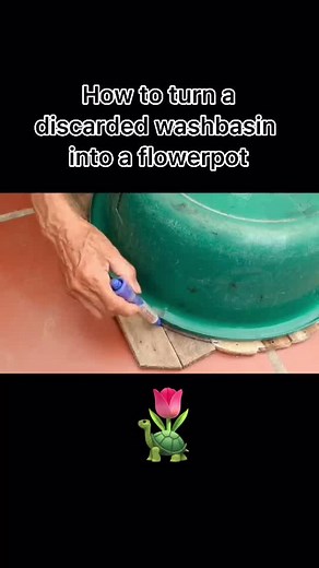 #plant #dobymyself #handmade #crafty @tiktok @douyinofficial 🐢flowerpot