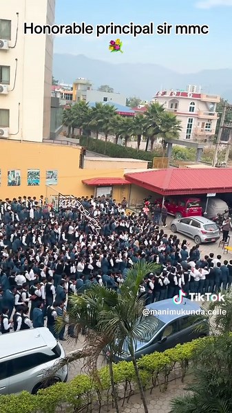 #creatorsearchinsights