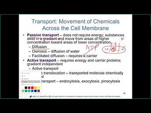 Microbial Ecology (Chapter 7) -- Lecture Video 2