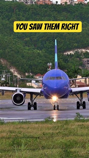 The Airbus 320 Legend #airplanespotting #airplane #aviation #quick