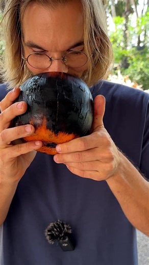 Processing Palmyra Fruits for the Best Breakfast Muffins | Palmyra Palm Fruit