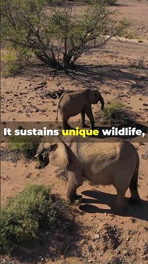 The Skeleton Coast: Namibia’s Most Mysterious Shoreline #SkeletonCoast #NamibiaTravel #africatravels