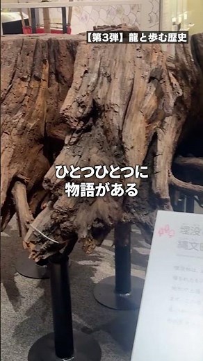 【感動】琵琶湖の歴史の物語📖✨琵琶湖博物館のB展示室！ #shorts #旅行 #琵琶湖