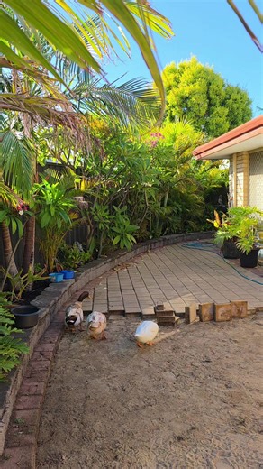 How to Install a Beautiful Lush Green Lawn