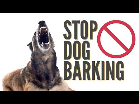 How To Quickly Stop Dog Barking