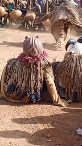 Les Kassongo yéyé en pleine célébration ! 🥳🐗 Après avoir défié les rois de la savane — panthères, guépards, lions — et esquivé toutes leurs provocations dans la forêt, voilà qu’ils dansent de joie sous les yeux ébahis de tous ! 😂 Chez les Sénoufo, lorsqu’un Dozo parvient à abattre un phacochère (kassongo), c’est bien plus qu’une chasse : c’est un exploit ! 💪🏾 Le kassongo est rusé, rapide et difficile à piéger. L’avoir comme trophée, c’est une fierté immense pour le chasseur. 🐗🏆 Première p
