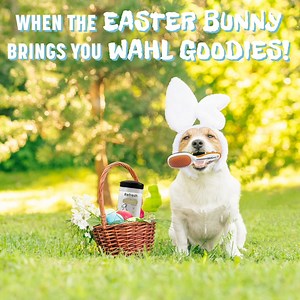Hoppy Easter! What Wahl goodies did the Easter bunny bring your pup this year? | Wahl Pets