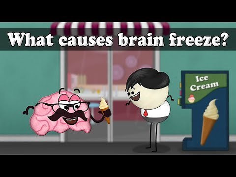 What causes brain freeze? | #aumsum #kids #science #education #children