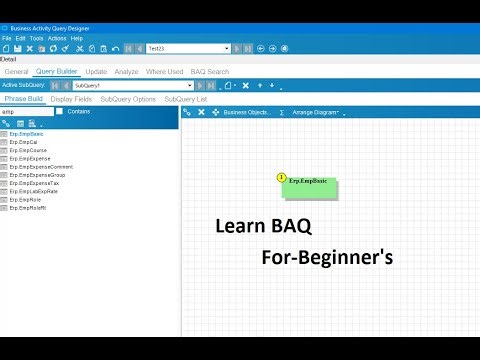 EPICOR BAQ PART 3: Calculation Fields