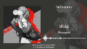 1hour循环||“这节奏不用我多说了吧”||《Wild》