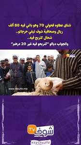 شناق عطاوه فحولي 70 وهو باغي فيه 80 ألف ريال وصحافية شوف تيفي حرجاتو.. شحال كتربح فيه.. والجواب ديالو ’’كنربحو فيه غير 20 درهم’’ | Chouf TV En Direct