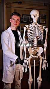 À savoir ! (anatomie humaine)