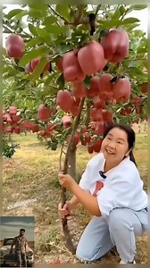 अरे दीदी ये क्या किया 🥵😳🫣 . . . . . #food #foodie #reels #trendingreels #fbreels #japan | Rihan Mimic Boy