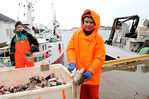Meet the Norwegian Kids Getting Paid Thousands to Cut Tongues Out of Fish