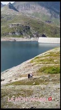 The Alps Hit Different, Especially Where The Tree line Ends 🇨🇭⛰️ #travel #swissalps #alpine