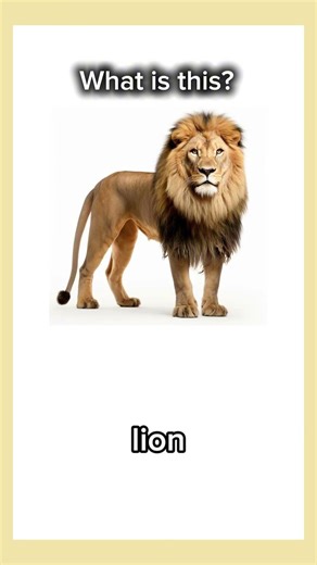 นี่คือสัตว์อะไร #ฝึกภาษาอังกฤษ #animals #ภาษาอังกฤษ