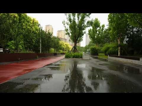 Rain Sounds in the Park for Insomnia Relief White Noise for Sleep