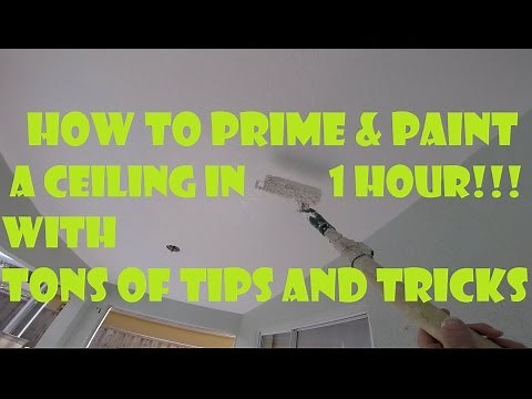 How to Prime and Paint a Ceiling FAST in 1 Hour!! Tons of DIY Ceiling Painting Tips and Tricks