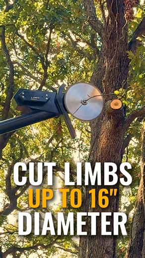 Overgrowth got you overwhelmed? 🌿 The LB12AG's precision and power make managing overgrowth easy and safe. 🪚🌳 #treesaw #limbmaintenance #treeremoval | Limb Buster LLC