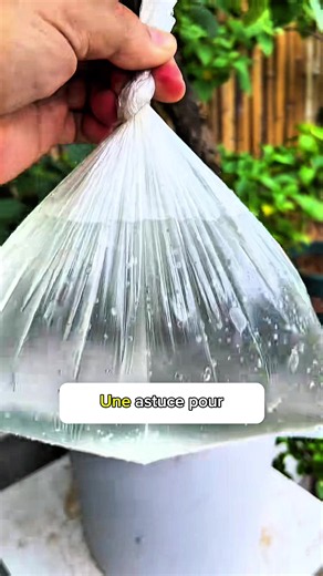 2 astuces arrosage automatique pour plantes en vacances