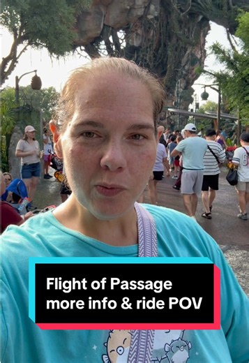 More information about Flight of Passage at Animal Kingdom; the test seat location, how the ride vehicle operates, and ride POV. #flightofpassage #animalkingdom #waltdisneyworld #plussize #wdw