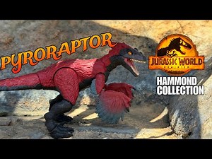 JURASSIC WORLD Hammond Collection Pyroraptor Toy Review #jurassicworld #hammondcollection