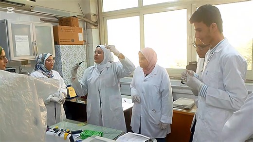 🎥 *لقطات مميزة من دورة Gene expression العملية مع د. ولاء عبد الله – الباحث مساعد بالمركز القومي للبحوث 🔬 تدريب عملي وتطبيق مباشر على تقنيات الـPCR &realtime PCR & gene expression 💡 تأهيل المشاركين لفهم أساسيات التقنية واستخداماتها البحثية والطبية #Gene expression #دورات_علمية #ولاء_عبدالله #المركز_القومي_للبحوث #تدريب_عملي #بحوث #تقنيات_بيولوجية | Dr walaa abdallah