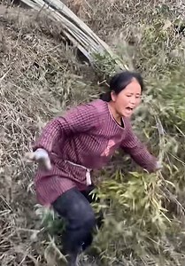 107K views · 111 reactions | Nature's Unstoppable Fury. | Handy Dandy | Facebook