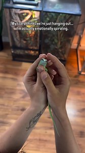 My emotional support bean 🦎😂 Emerald Tree Skink (Lamprolepis smaragdina) #emeraldtreeskink #emeraldtreeskinks #treeskink #greentreeskink #emeraldgreenskink #greenskink #emeraldskink #skink #skinks #skinksofinstagram #lamprolepissmaragdina #lamprolepis #greenlizard #lizard #lizards #lizardsofinstagram #reptile #reptiles #reptilesofinstagram #pet #cuteanimals #cute #funnyanimals #viral | Kayla Roach