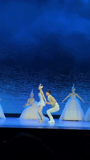 Swan Lake en versión Circo: Ballet y Arte