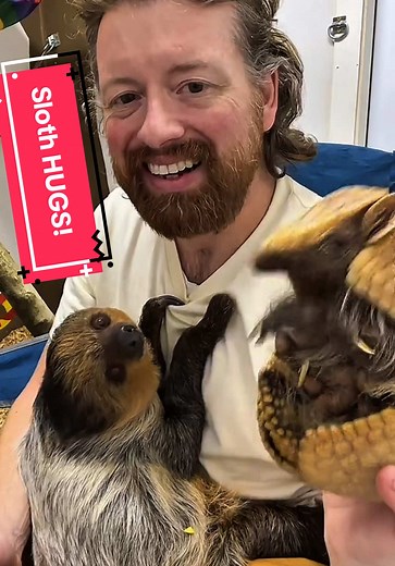 Sloth cuddles!! Come visit Ocoee Riverside Farm!