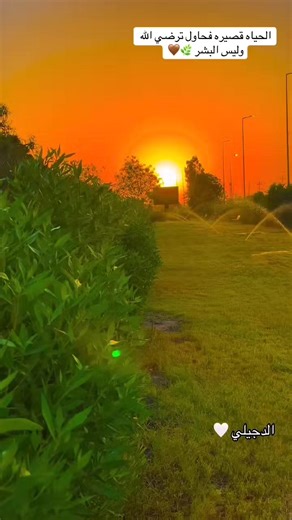 #تصويري_احترافي_الاجواء👌🏻🕊😴 #الدجيلي #المتنزه @الفقير☹️ @ابـ♡ـن شمر @مرتضى خالد
