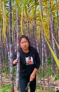 47K views · 21 reactions | Interesante vídeo sobre frutas para ti   襤 | Amazing Videos | Facebook