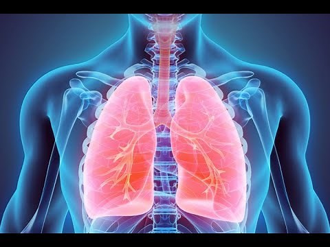 Mode Dan Setting Dasar Ventilator