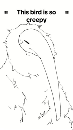 Most huggable bird on tiktok #animation #fyp #opiumbird #luhcalmfit