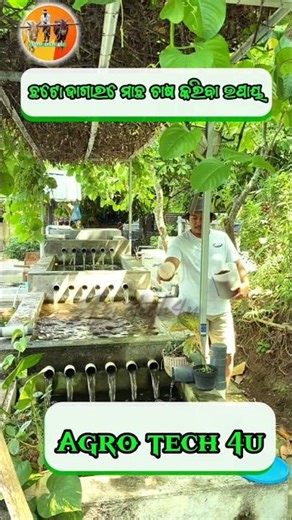 The Future of Farming: Space-Saving Small Fishery #agriculture