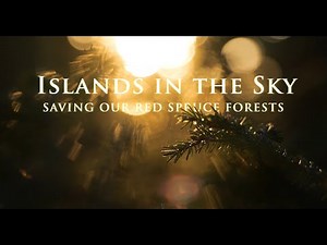 Saving the Southern Appalachian Red Spruce Forest