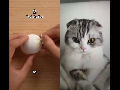 The Boiled egg Prank