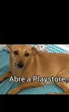 como instalar a play store