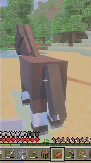 I Installed a Horse Riding Mod in Minecraft