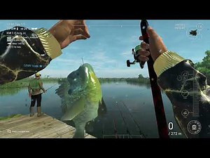 Trophy Redear Sunfish - Spot Nr. 2 - Fishing Planet - Everglades - USA